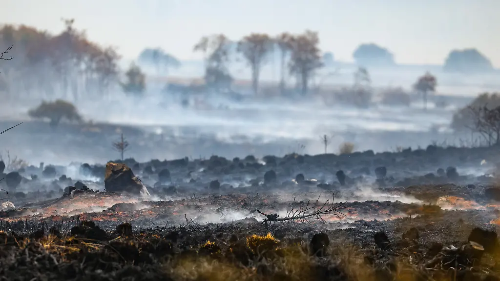 Waldbrände meist von Menschen verursacht