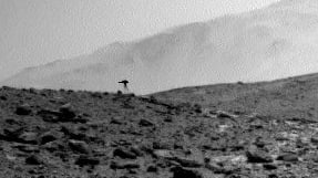 Mysterium auf dem Mars: Neue NASA-Aufnahmen sorgen für Aufsehen