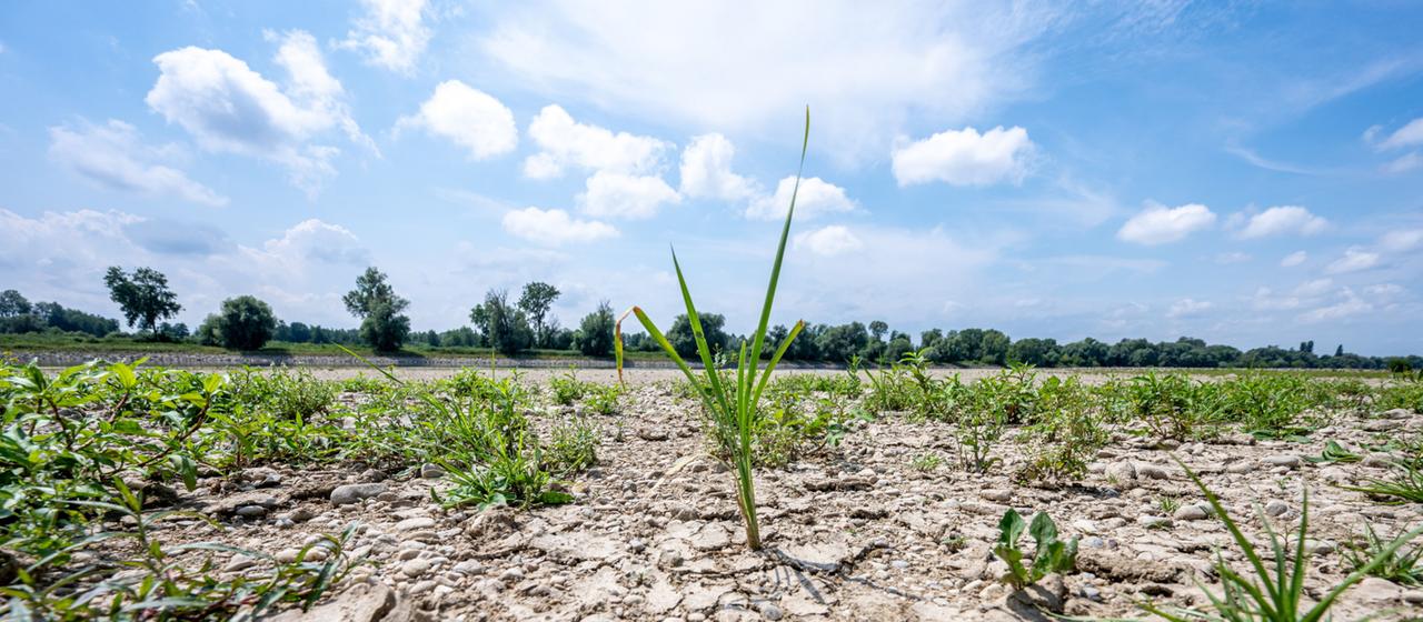 Wassermanagement und Klimaschutz – Eine drängende Herausforderung