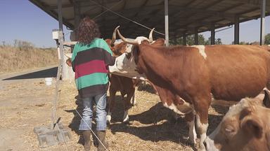 Heute in Deutschland: Landwirtschaft, Mehrgenerationenhäuser und EM-Erfolg