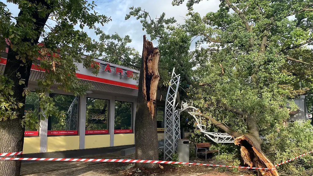 Unwetter im Baltikum führt zu schweren Stromausfällen