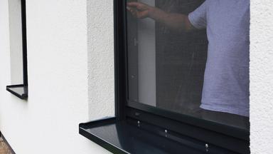 Schutz vor Wespen: Praktische Tipps für den Sommer