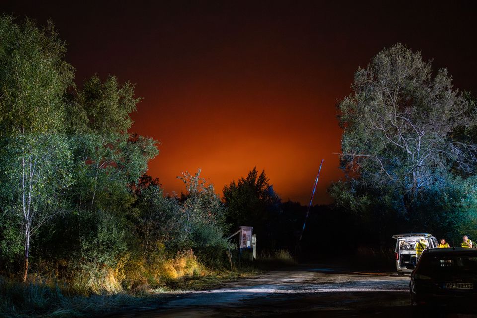 Waldbrände in Belgien: Gefahr für deutsches Grenzgebiet