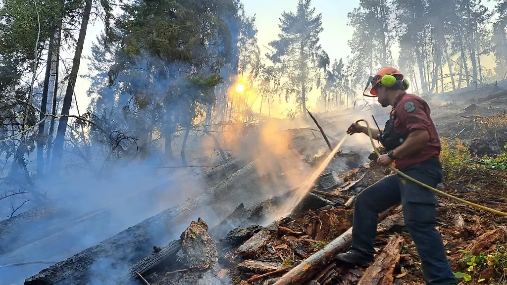 Kanada kämpft gegen verheerende Waldbrände in British Columbia