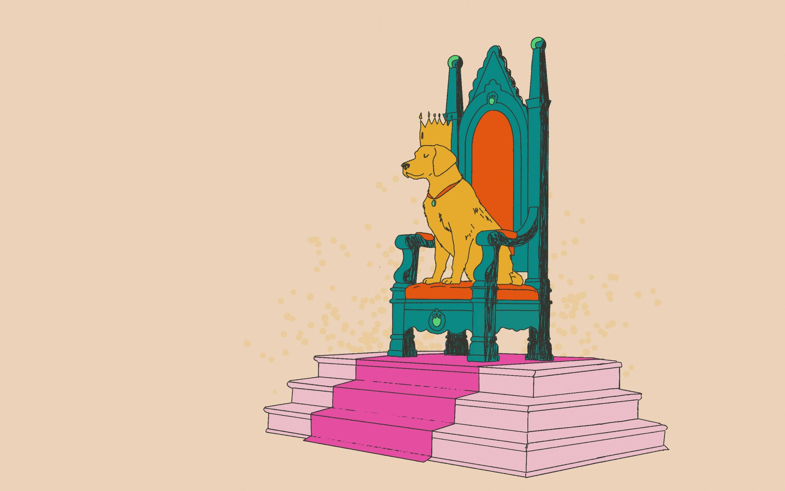 Die besondere Beziehung zwischen Mensch und Hund