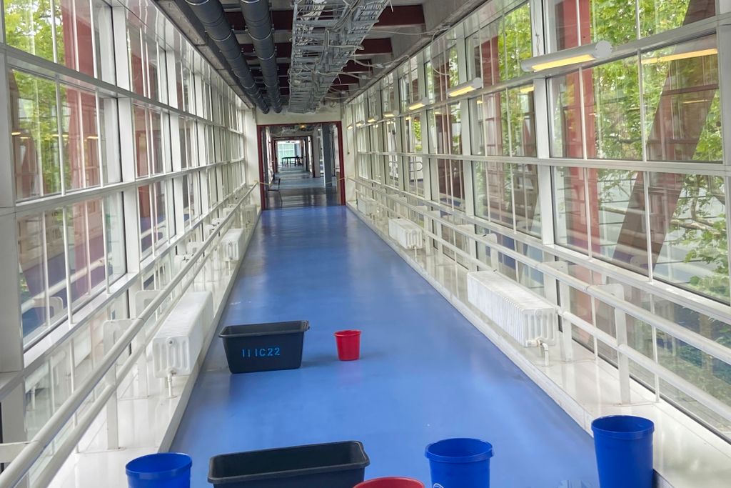 Sanierungsstau an Berliner Universitäten: Eine Krise im Bildungssystem