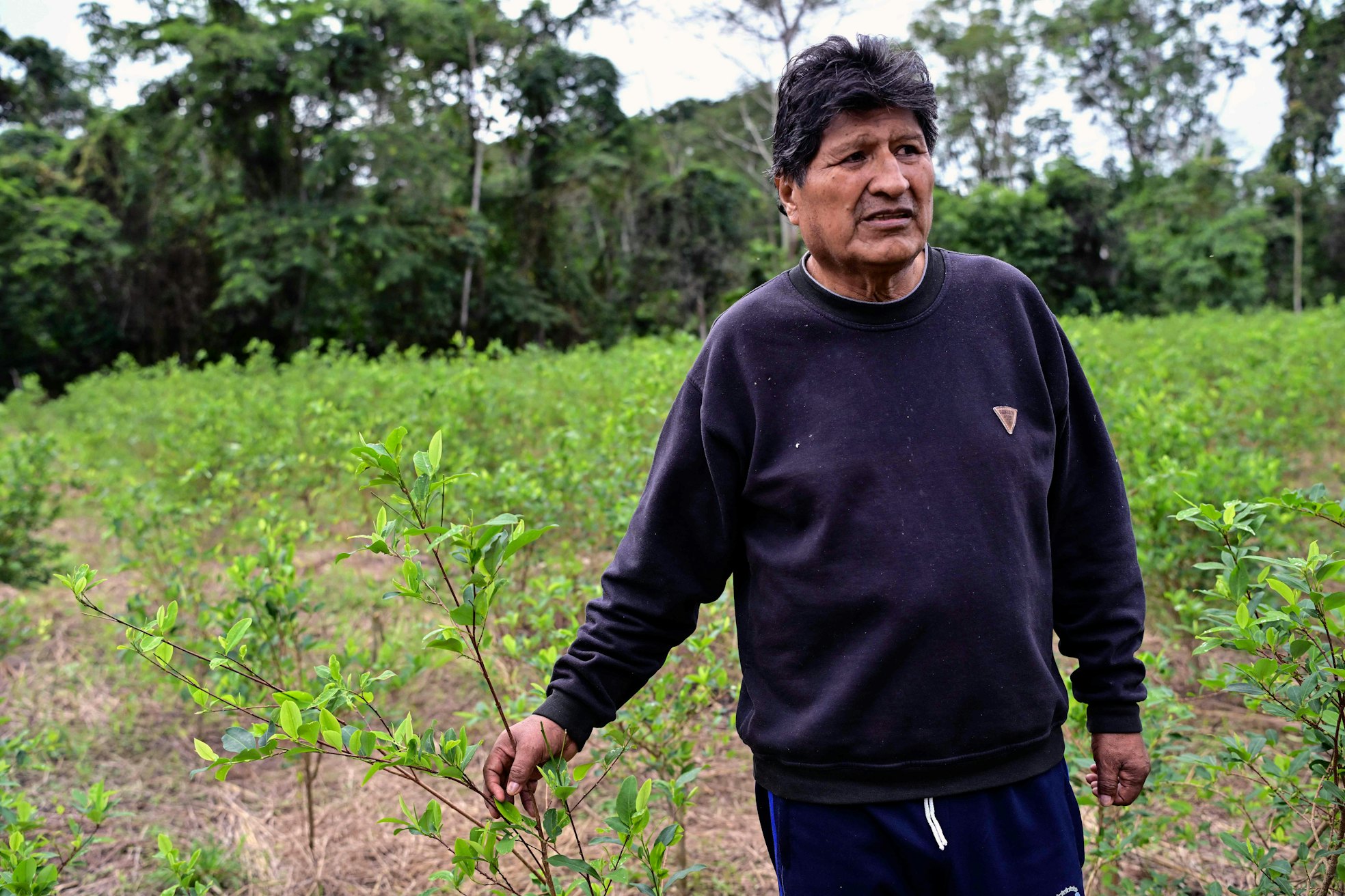 Auseinandersetzung um Evo Morales in Bolivien