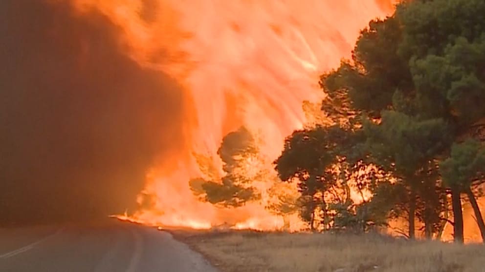 Griechenland kämpft gegen massive Waldbrände