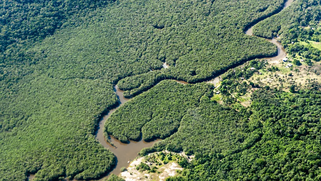 Brasilien reduziert Abholzung im Amazonas