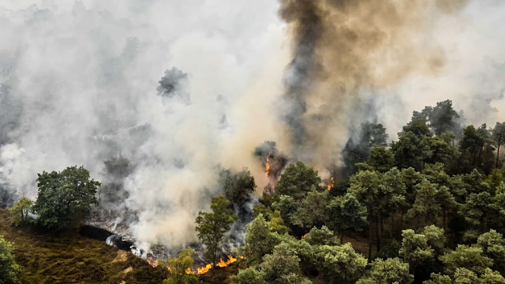 Europäische Hitzewelle: Waldbrände und klimatische Herausforderungen