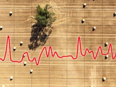 Lage der Waldbrände in Deutschland und Belgien entspannt sich