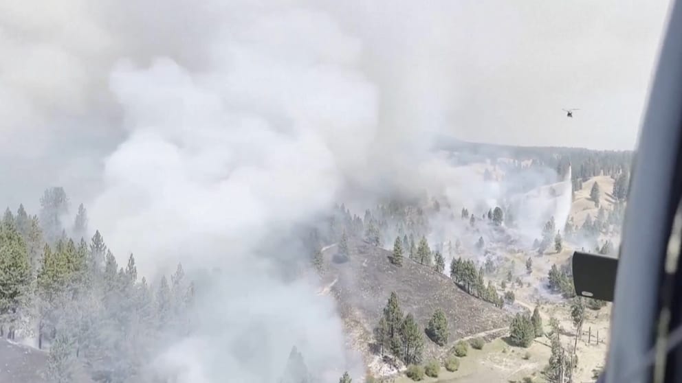 Einsatz der Nationalgarde bei Waldbränden in den USA