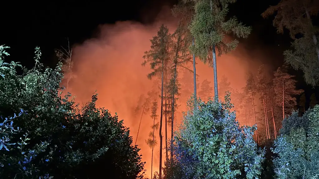 Großer Waldbrand im Vogtland Kreis