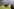 Gewaltsame Ausschreitungen beim Derby Mannheim gegen Kaiserslautern