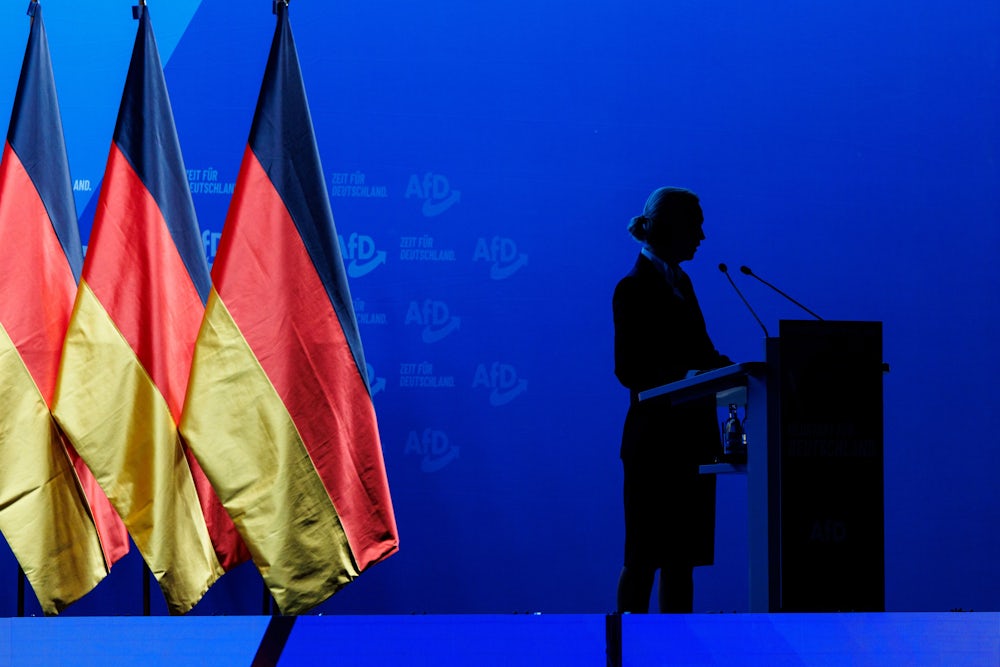 Gedankenspiel einer AfD-Regierung im Jahr 2033