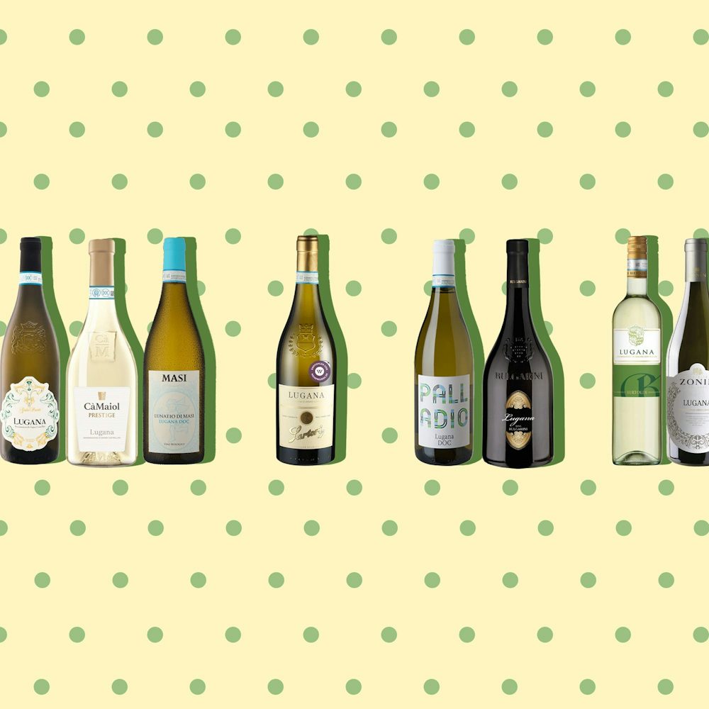 Weinprobe: Lugana im Fokus