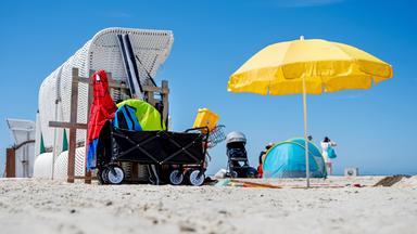 Regeln für das Sammeln von Urlaubssouvenirs aus der Natur