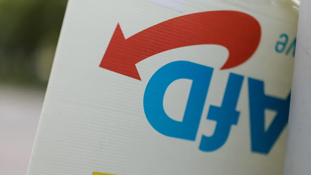 Pistorius und Özdemir fordern AfD-Verbotsverfahren