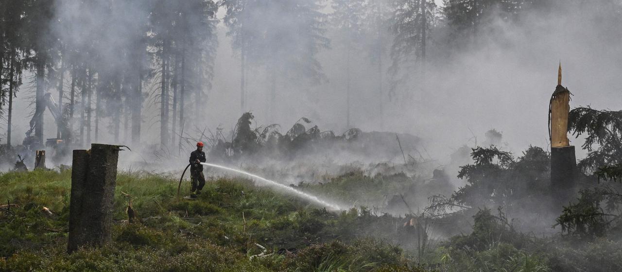 Waldbrand im Hohen Venn: Einsatzkräfte hoffen auf Regen