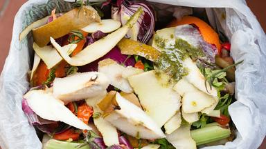 Die Wahrheit hinter Bioplastik und seinen Umweltfolgen
