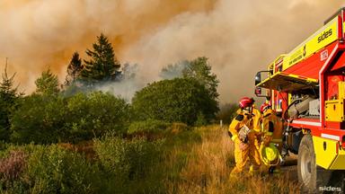 Aktuelles zu den Waldbränden im Hohen Venn und Umgebung