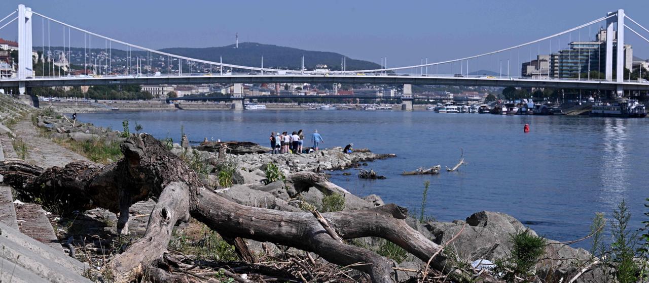 Niedrigwasser der Donau: Wasser als Verhandlungsmasse