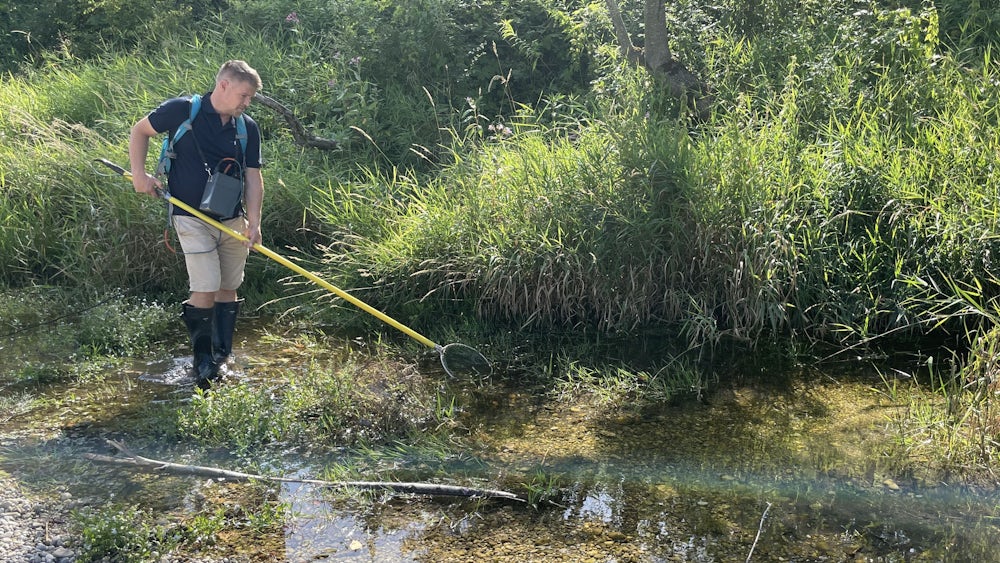 Trockenheit und ihre Auswirkungen auf Fische in Bayern