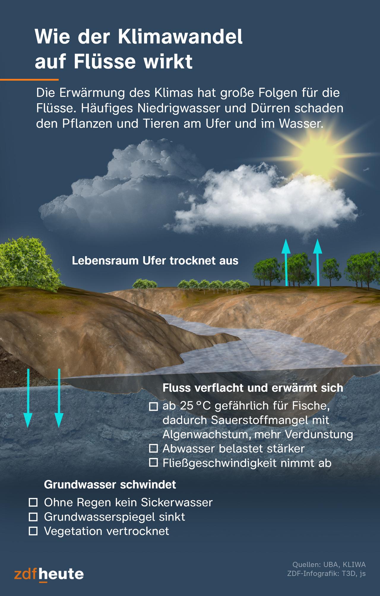 Niedrigwasser in deutschen Flüssen verursacht wirtschaftliche Probleme