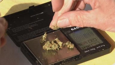 GKV-Sparpaket und die Auswirkungen auf Cannabistherapien