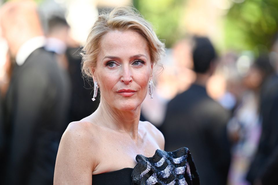 Gillian Anderson über sexuelle Orientierung und Selbstfindung