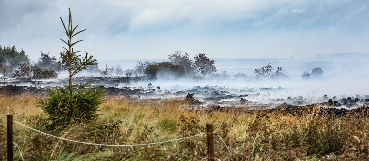 Waldbrand im Hohen Venn: Eingekreist, aber noch nicht unter Kontrolle