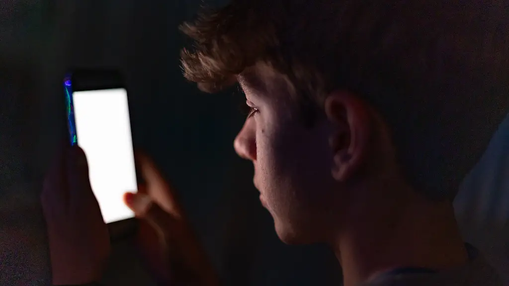 Debatte um Social-Media-Verbote: Schutz für Jugendliche gefordert