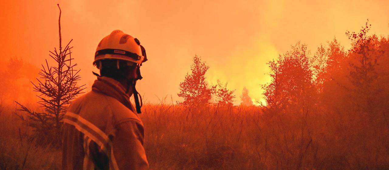 Waldbrandgefahr in Europa: Studie zeigt drohende Zunahme