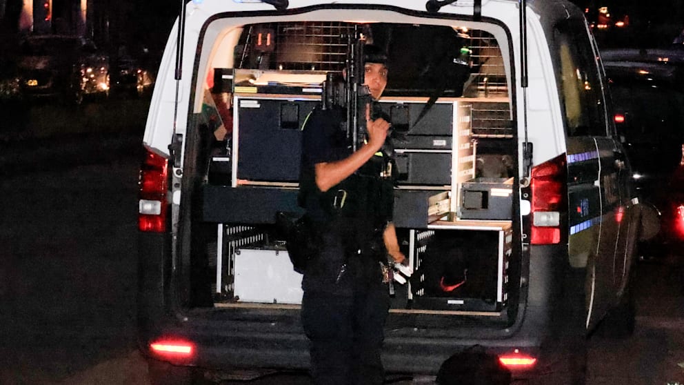Clankriminalität in Berlin: Eine ernste Lage