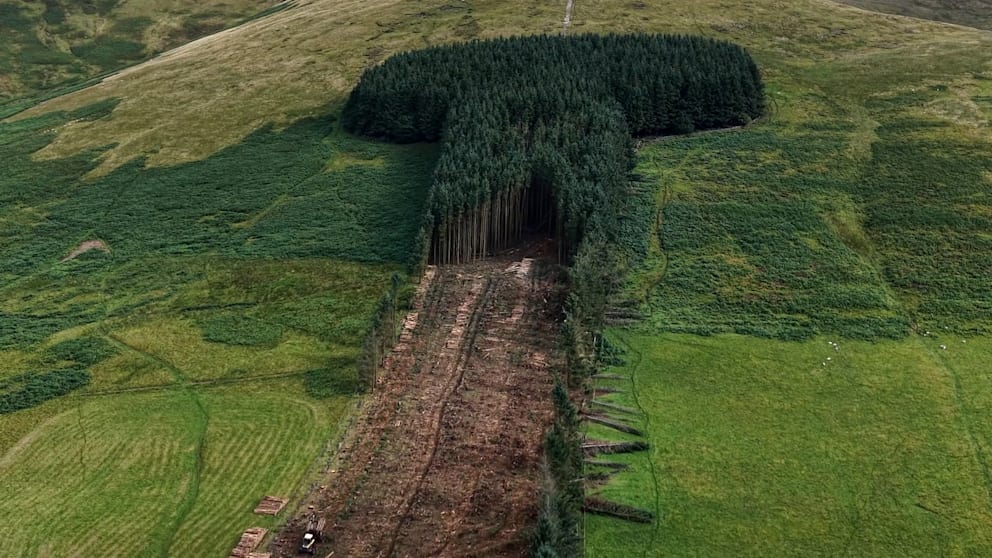 Das Ende des „Penis-Waldes“ in Schottland