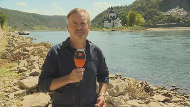 Aktuelle Entwicklungen in Deutschland am 10. August 2026