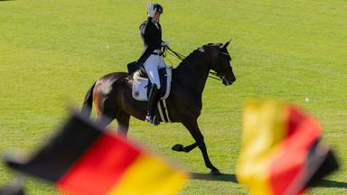 Deutsches Dressur-Team bei der Reit-WM: Halbzeit auf Gold-Kurs