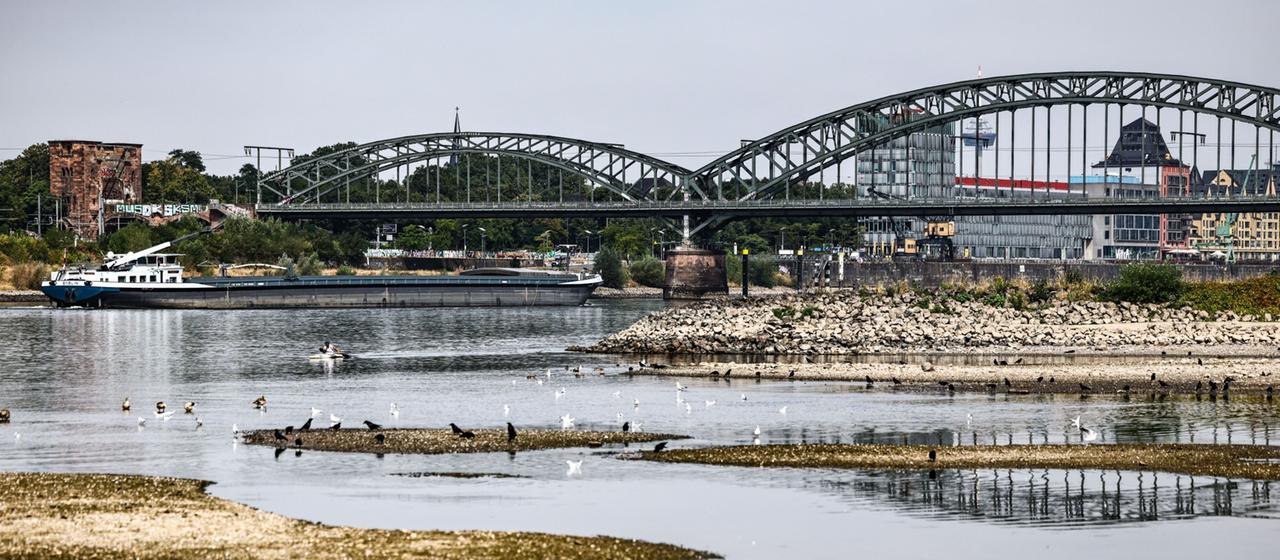 Krise durch Niedrigwasser am Rhein: Maßnahmen und Auswirkungen