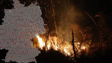 Deutschland kämpft mit Waldbrandgefahr und extremen Wetterbedingungen