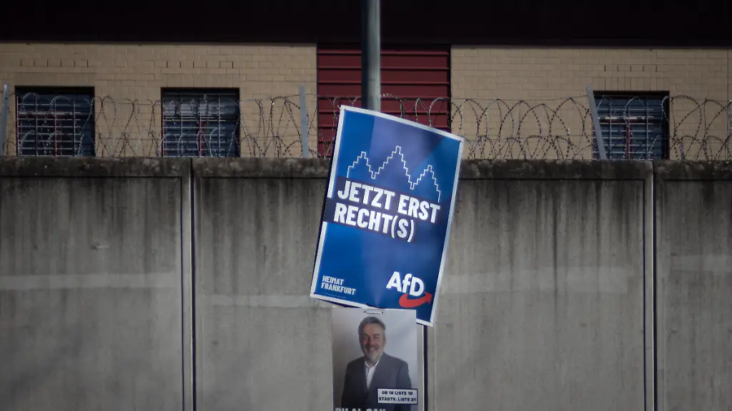 AfD-Politikerin in Niedersachsen wegen Kandidatur fristlos gekündigt
