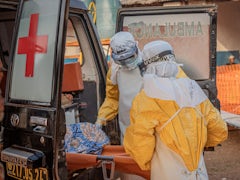 Ebola-Ausbruch in Zentralafrika: Der Kampf gegen eine eskalierende Krise