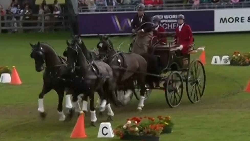 Ben Hur lässt grüßen: Vierspänner rasen um den WM-Titel