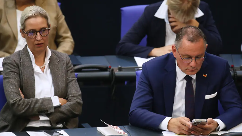 Juristen fordern AfD-Verbotsverfahren