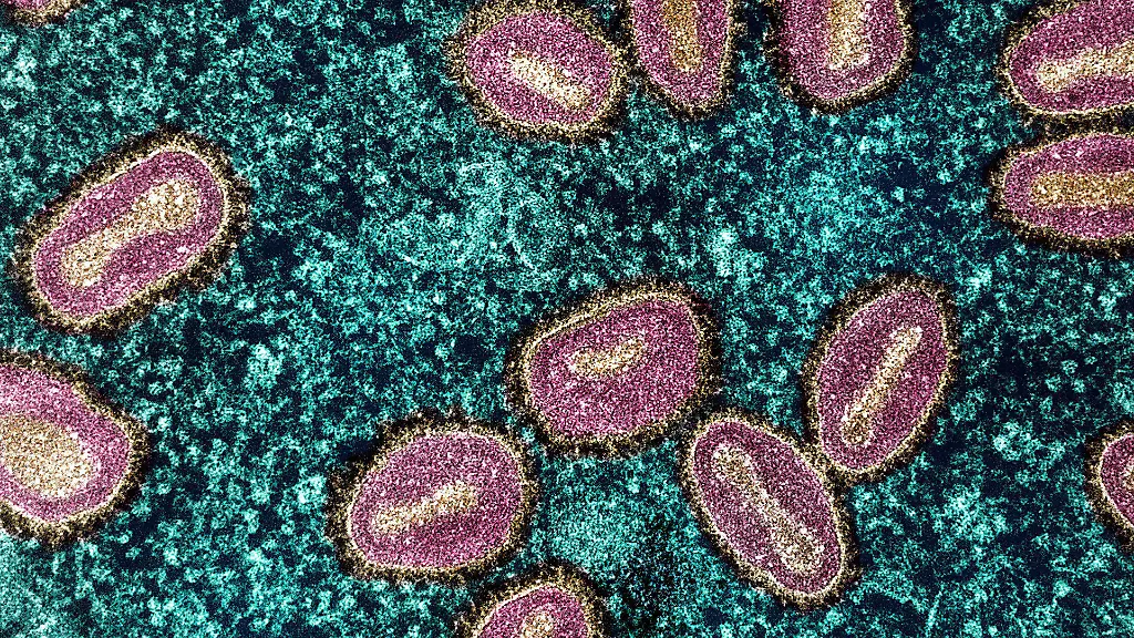 Spermien fördern Mpox-Infektionen