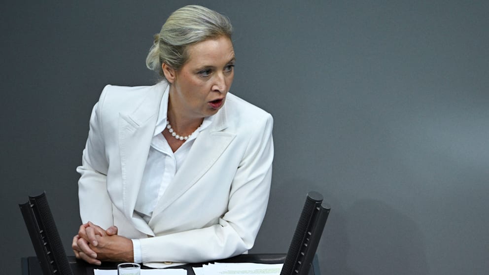 Alice Weidel im Bundestag: Kritik an der Energiewende