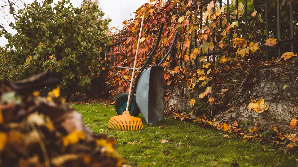 Gartenarbeiten im September: Vorbereitung auf den Herbst