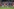 Schalke und Bayern trennen sich 0:0 in spannendem Bundesliga-Spiel