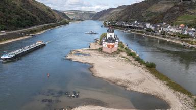 Dauerhaftes Niedrigwasser im Rhein belastet die Wirtschaft