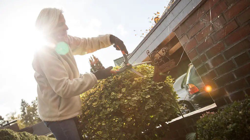 Garten winterfest machen: Effektive Herbstarbeit