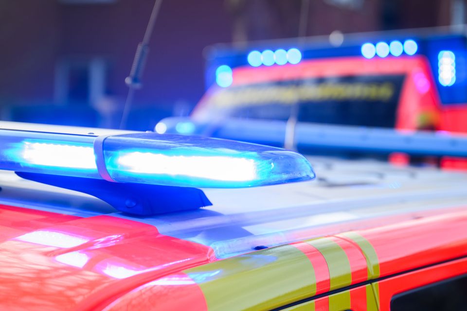 Gewitterfront in Freiburg: Verletzte durch umgestürzte Bäume